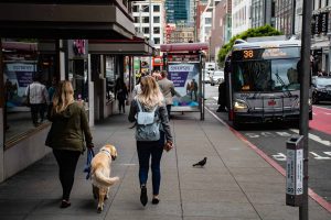 Bus and Bus Stop Advertising