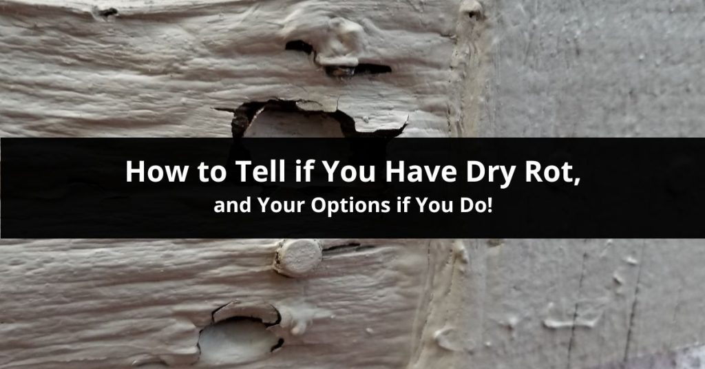 How to Tell if You Have Dry Rot
