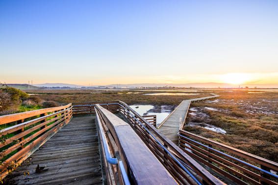 alviso san jose houses