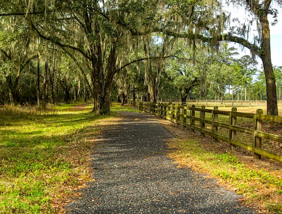 los robles tallahassee houses