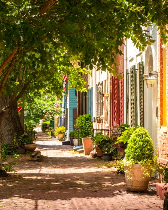 old town alexandria houses