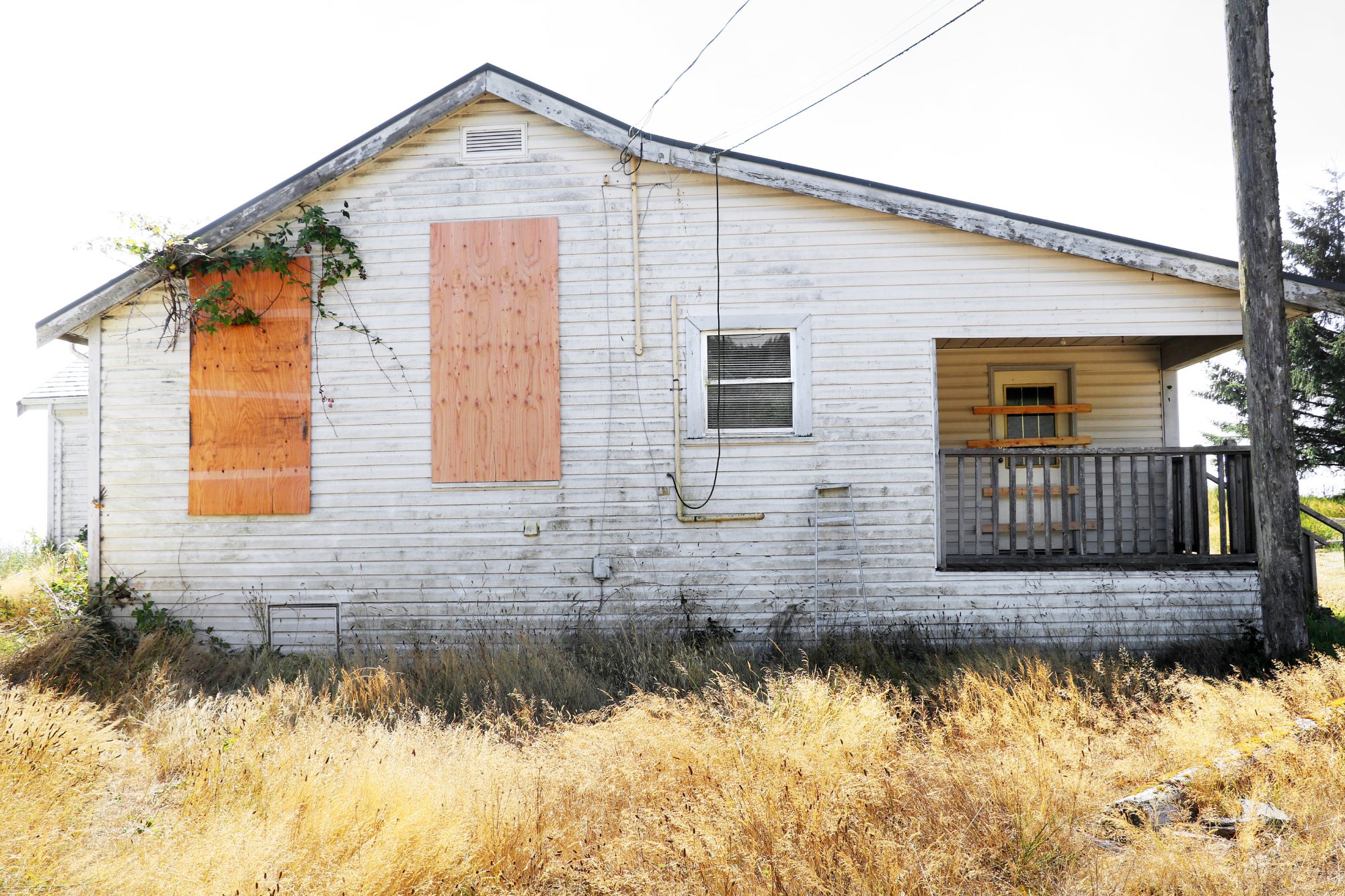 Why Real Estate Investors Buy Ugly Houses