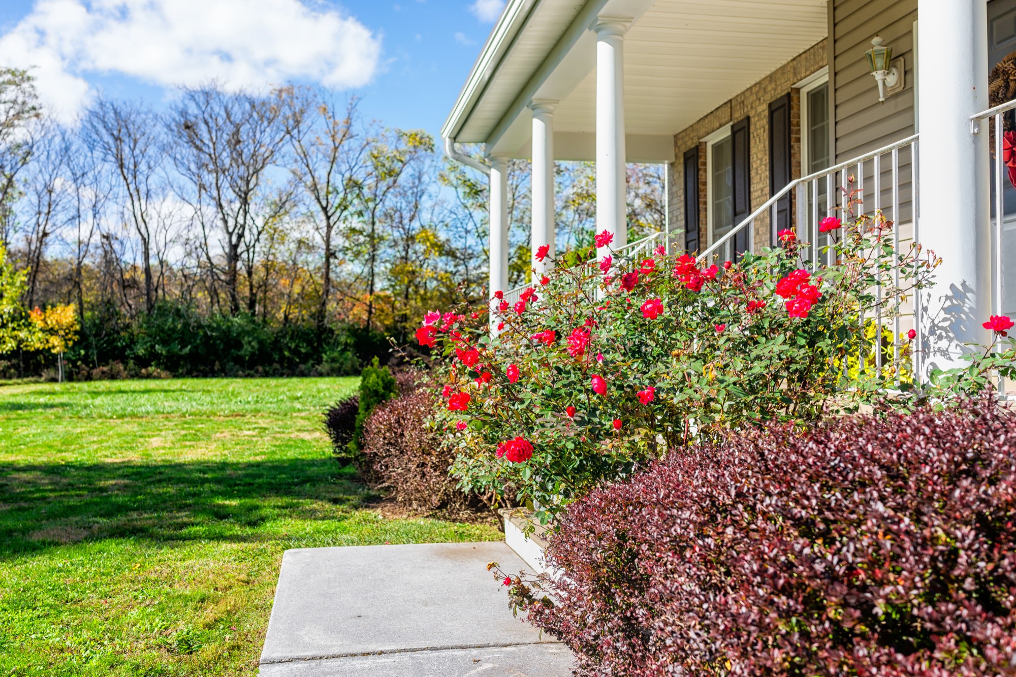 White house with a front porch and open lawn in Orange County, Virginia White house with a front porch and open lawn in Orange County, Virginia
